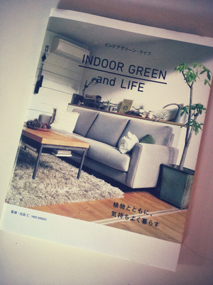 m_indoorgreenandlife