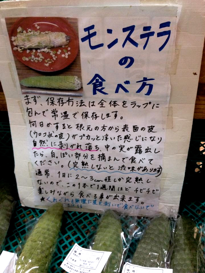 Monstera Deliciosaモンステラの実を食った デリシオーサはデリシャスだった Monstera Deliciosa